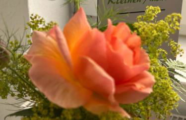 Kleine Auszeit - Foto 2