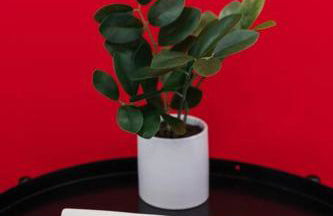 Harty's Terrace 9 Kimball Avenue - Foto 13