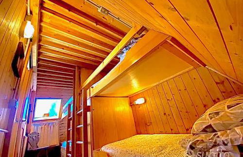 ~Chalet_Rifugio tra i boschi~ - Foto 33