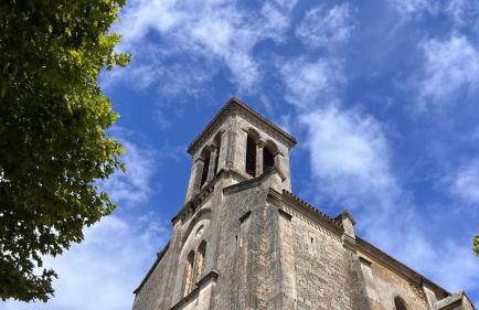 Métairie de Moutiques - Photo 39