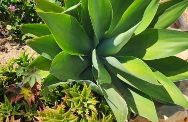 Casa Monzonea - Foto 38