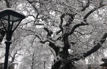 Nature Paradise Apartment - Photo 36