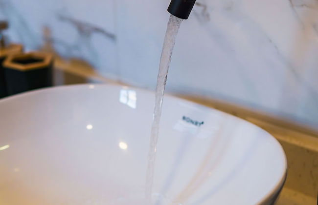 Colonial Wolf Oasis - Foto 58