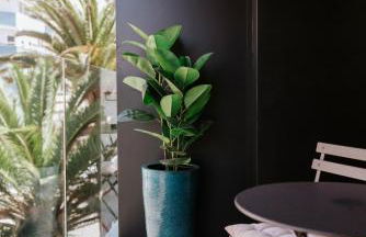 TocToc Suites Olof Palme - Viviendas Vacacionales - Foto 23