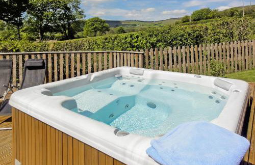 Ash Lodge - Hw7442 - Foto 2