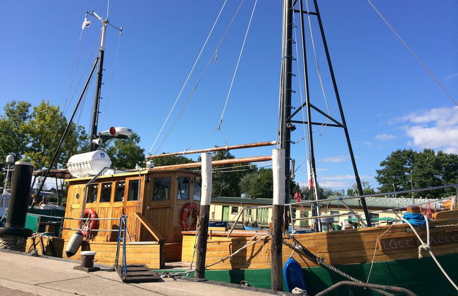 Haff-Ostseeferienhaus - Foto 43