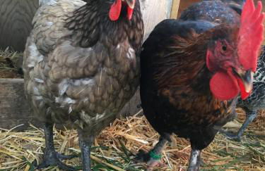 La Clé de Taulé - Foto 65