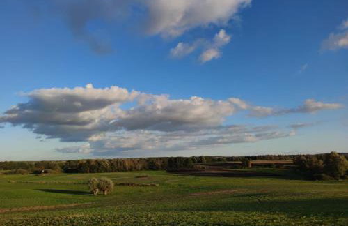 sPokój pod jesionami - Foto 7