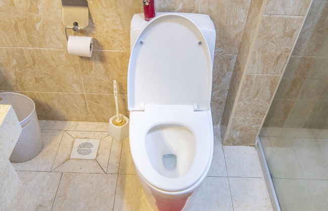 Lux Suites Silver Habor Apartments - Foto 40