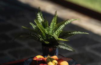 Villa esclusiva nella torre del castello di Tignano tra lusso, storia e natura nel cuore del Chianti - Foto 58