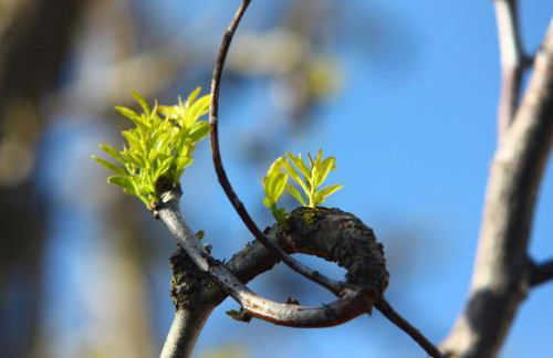 VALDEVAQUEROS HOUSE - Foto 34