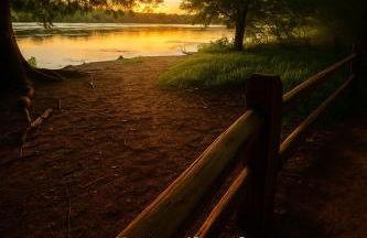 A Hoot's Nest-Lux Boutique Bungalow near Downtown! - Foto 46