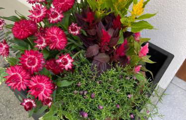 Ferienwohnung Emma an der Romantischen Straße - Foto 7