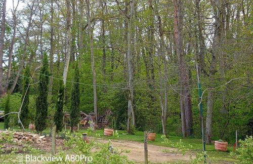 La Sablonnière de Rochefort - Foto 37