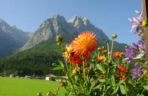 Landhaus Waldrebe - Foto 16