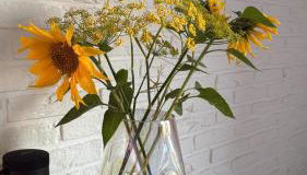 Apartment mit Garten - Foto 3