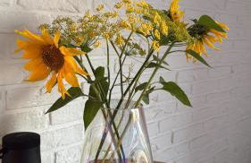 Apartment mit Garten - Foto 3