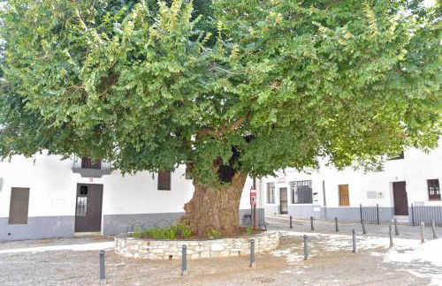 La Solana by SIERRA VIVA - Foto 22