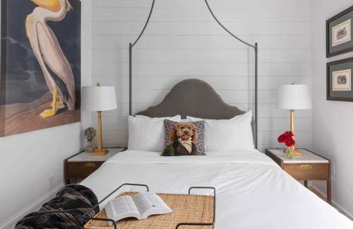 Best in Show - Foto 17