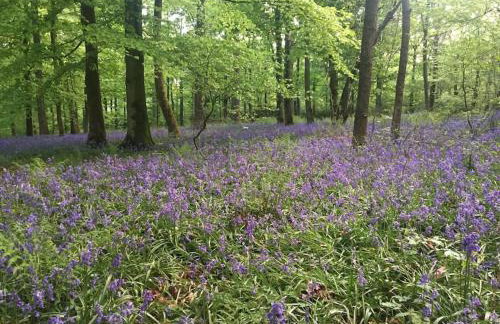 Westside Cottage, Newby Hamlet, Clapham, Yorkshire Dales National Park, Famous Three Peaks, Near The Lake District, Pets Are Welcome, Direct Parking in front of the Cottage & Guest Parking - Foto 72