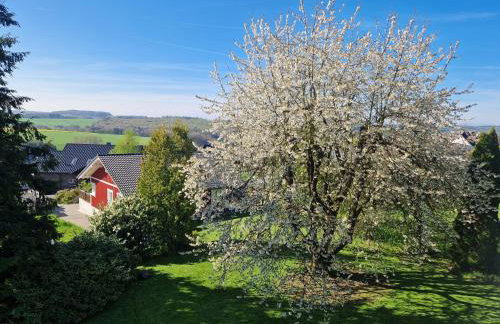 Ferienhaus Löh - Foto 4