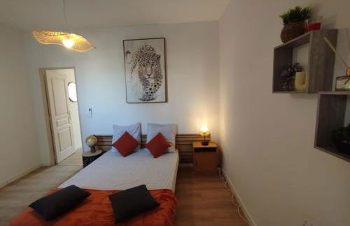 Appart 2 lits tv Wifi Parking Jardin - Foto 1