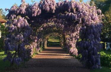 CÔTE BASQUE - Foto 15