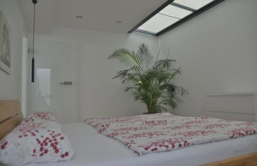 DonauDeluxe - Foto 12