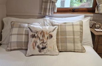 Bonnie Lodge-Lochside Location with Hot Tub - Photo 17