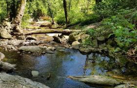 Il Debbio - Photo 78