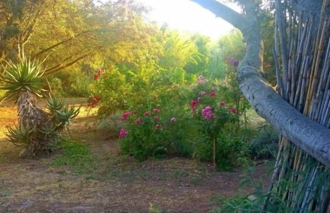 Casa Orsoni - Foto 62