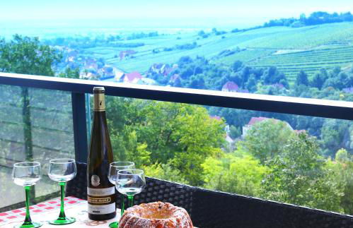 Alsace Panorama - Photo 43