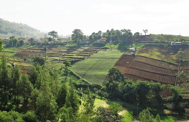 Green Forest Plantation View 6BR with Infinity Pool - Photo 52