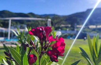 AGRI ART - Foto 24