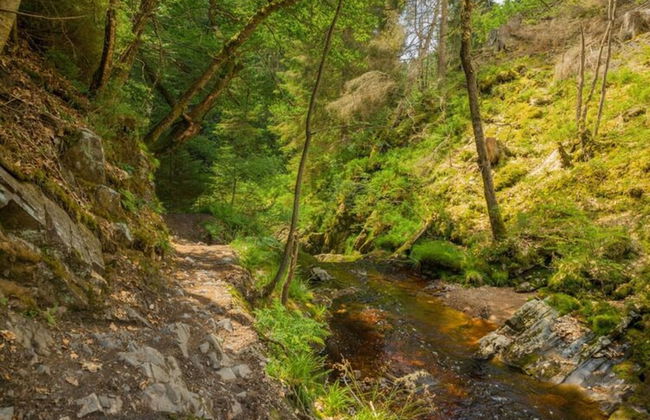 Traditional Chalet with Garden near Malmedy & Hautes-Fagnes - Foto 49