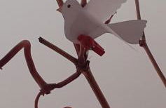 casa murata alta - Foto 7