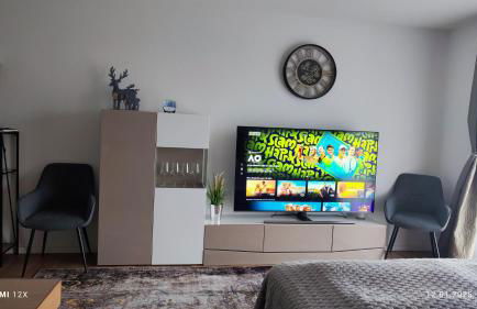 Schicke Ferien Wohnung mit tollem Ausblick in Schwarzwald. - Foto 6