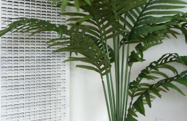 Big gated yard, Work play room, King bed - Foto 14