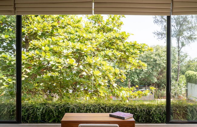 Tranquil Waters - Photo 4