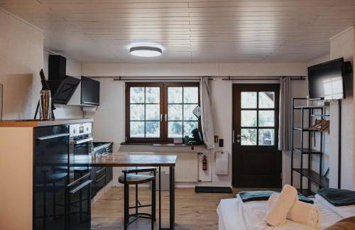 Apartment am Annaweiher - Foto 9