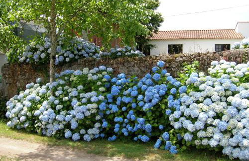 Quinta de Luou - Photo 48