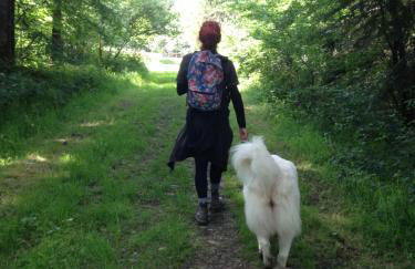 Jolie Tiny House sous les Grands Arbres - Photo 30