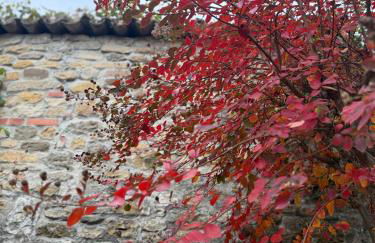 Residenza Il Castello Uno e Due - Photo 9