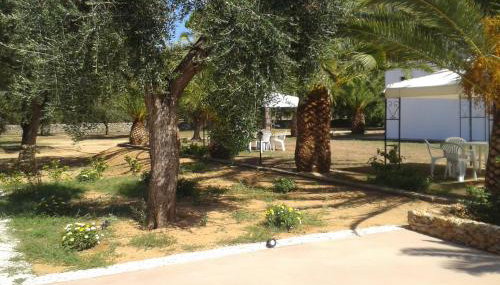 Tenuta Afra - Photo 4, Garden