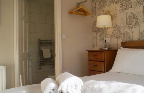 Brown Snout - Foto 8