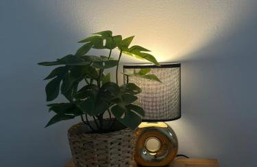 Włostowicka Ostoja Apartament - Foto 44