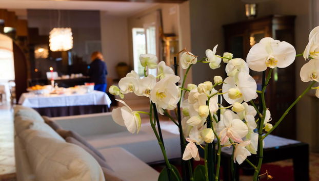 Entrada (vista interior)