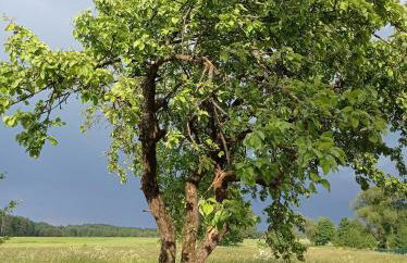 Agroturystyka Pasynki 44 - Foto 38