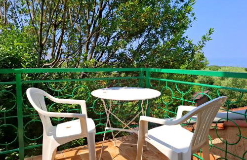 Apartments and Rooms Kapela - Foto 35
