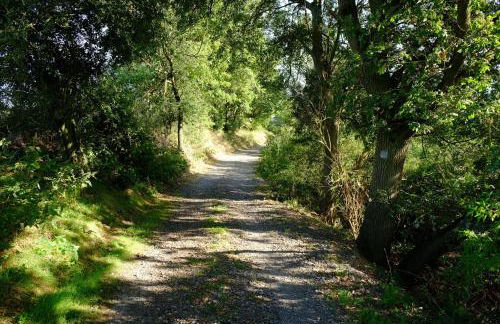 Ferienwohnung-zum-Kueppchen - Foto 21